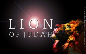 Lion Of Judah Under Supernova Silver